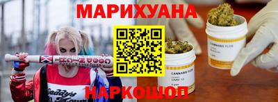 индика Дубна