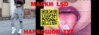 индика Дубна