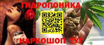 индика Дубна