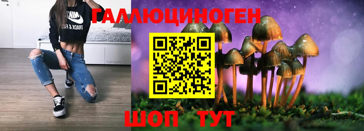 Можайск  цены наркотик  Вход с VPN  Псилоцибиновые грибы GOLDEN TEACHER 